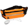 Sac Banane Orange